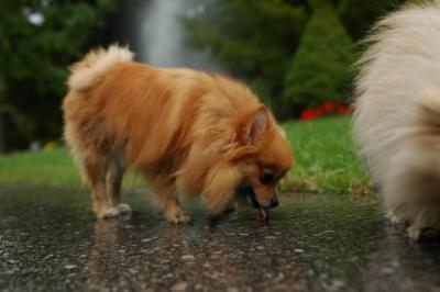 Sept25b_04_074.JPG