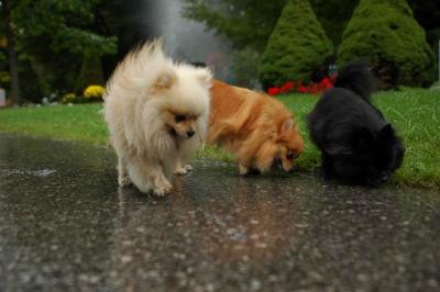 Sept25b_04_083.JPG