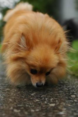 Sept25b_04_093.JPG