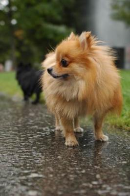 Sept25b_04_097.JPG