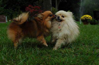 Sept25b_04_104.JPG