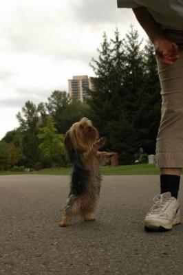Sept25b_04_110.JPG