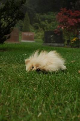 Sept25b_04_118.JPG