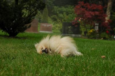 Sept25b_04_120.JPG