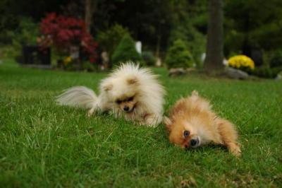 Sept25b_04_130.JPG
