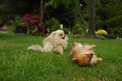 Sept25b_04_132.JPG
