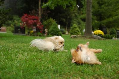 Sept25b_04_133.JPG