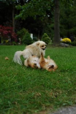Sept25b_04_139.JPG