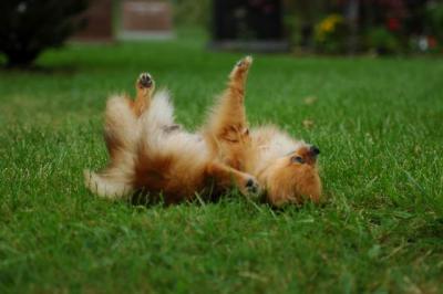 Sept25b_04_157.JPG