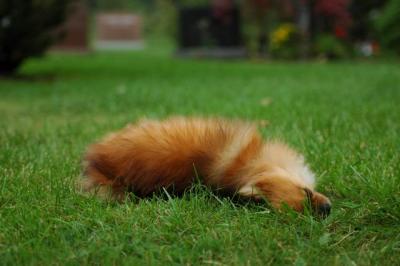 Sept25b_04_159.JPG