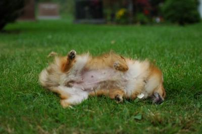 Sept25b_04_162.JPG