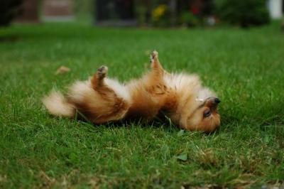 Sept25b_04_163.JPG