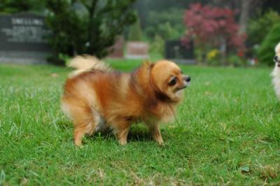 Sept25b_04_182.JPG