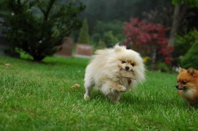 Sept25b_04_207.JPG
