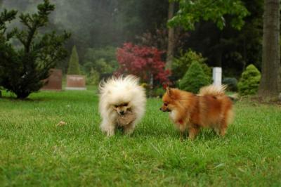 Sept25b_04_210.JPG