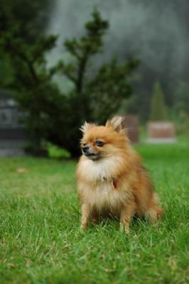 Sept25b_04_232.JPG