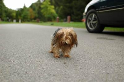Sept25b_04_260.JPG