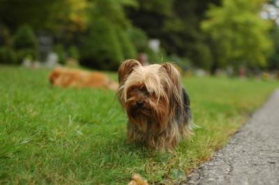 Sept25b_04_269.JPG