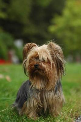 Sept25b_04_271.JPG