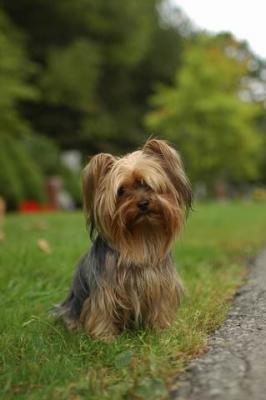 Sept25b_04_276.JPG