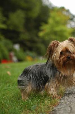 Sept25b_04_280.JPG