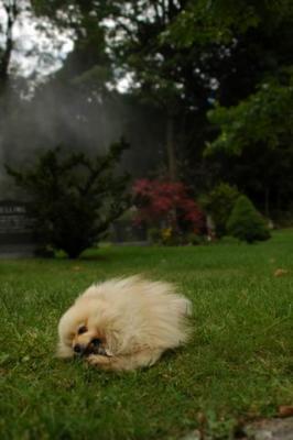 Sept25b_04_299.JPG