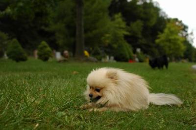 Sept25b_04_330.JPG