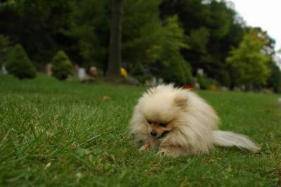 Sept25b_04_337.JPG