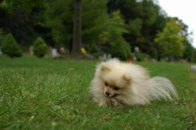 Sept25b_04_338.JPG