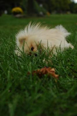 Sept25c_04_003.JPG