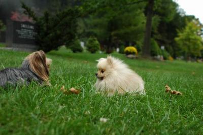 Sept25c_04_024.JPG