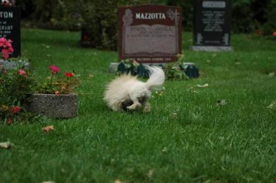 Sept25c_04_055.JPG