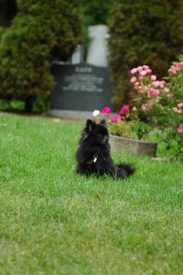 Sept25c_04_059.JPG