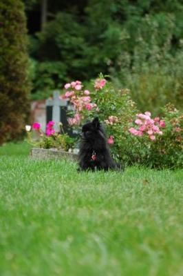 Sept25c_04_061.JPG