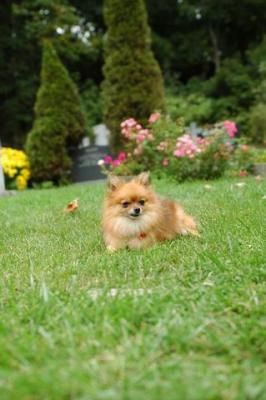 Sept25c_04_104.JPG