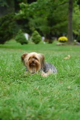 Sept25c_04_124.JPG