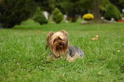 Sept25c_04_128.JPG