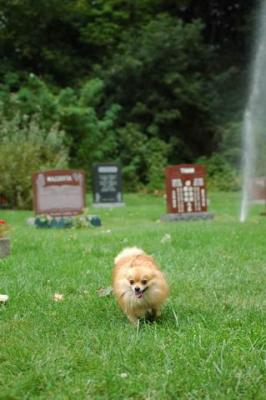 Sept25c_04_138.JPG