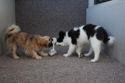 Feb13_05_143.JPG