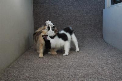 Feb13_05_146.JPG