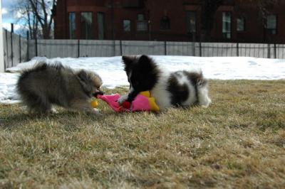 Feb12_05_008.JPG