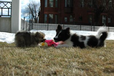 Feb12_05_010.JPG