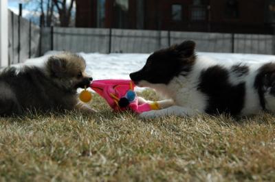 Feb12_05_013.JPG