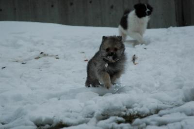 Feb12_05_031.JPG