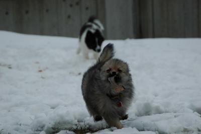Feb12_05_032.JPG