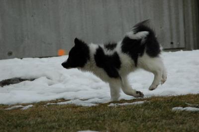 Feb12_05_034.JPG