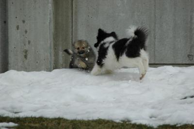 Feb12_05_035.JPG