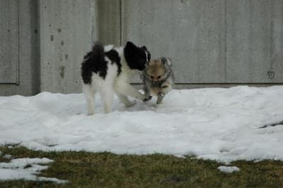 Feb12_05_036.JPG