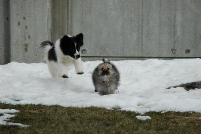 Feb12_05_037.JPG