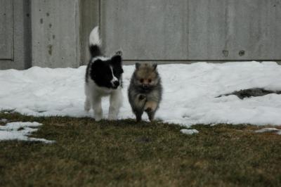 Feb12_05_038.JPG